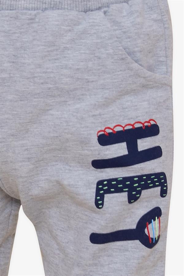 Baby Boy Sweatpants Printed with Pockets, Grey Melange (9 Months-3 Years)