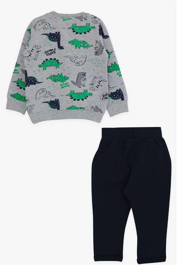 Baby Boy Tracksuit Set, Dinosaur Print, Grey (9 Months - 1.5 Years)