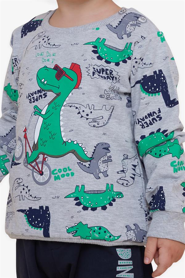 Baby Boy Tracksuit Set, Dinosaur Print, Grey (9 Months - 1.5 Years)