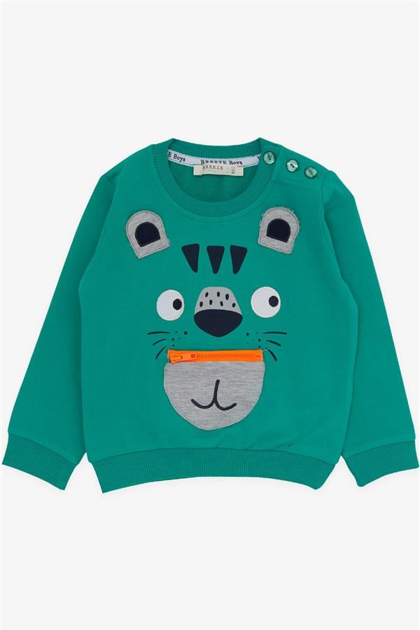 Baby Boy Tracksuit Set with Koala Embroidery, Green (1-1.5 Years)