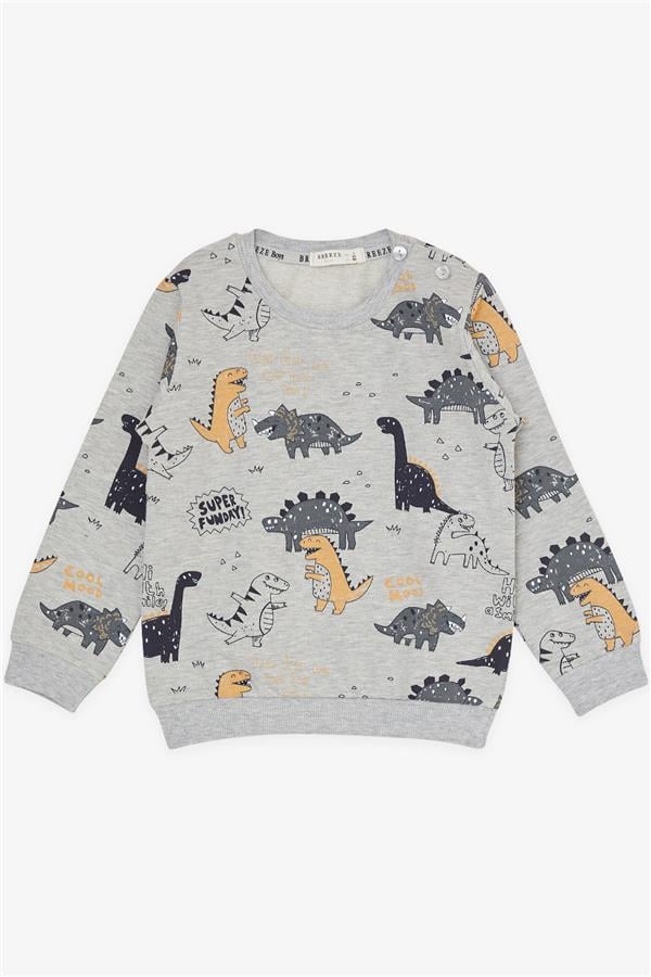 Baby Boy Tracksuit Set with Cheerful Animal Design, Grey Melange (9 Months - 1.5 Years)
