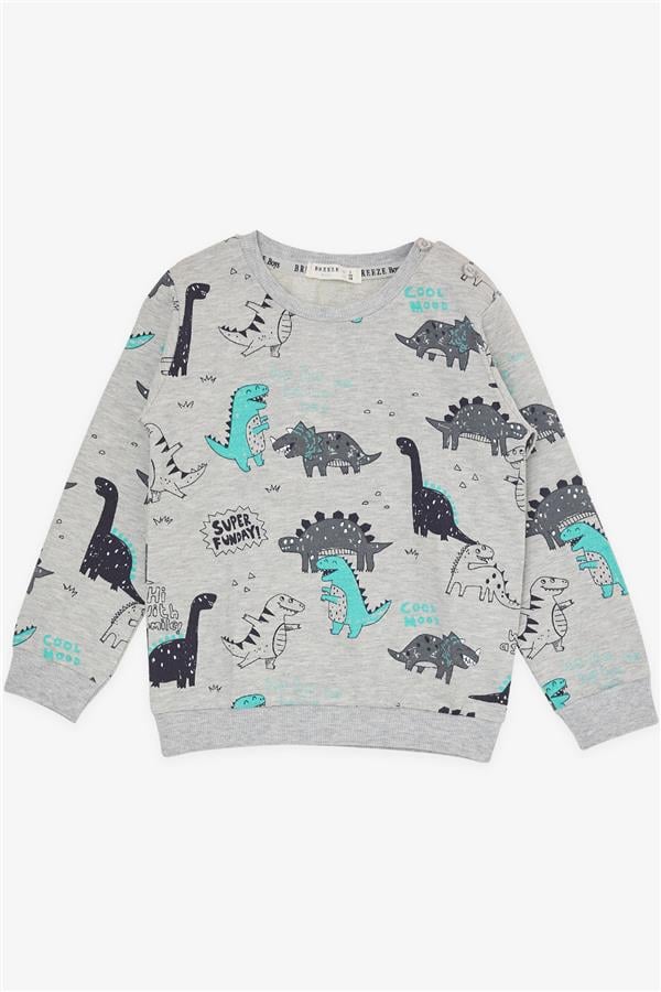 Baby Boy Tracksuit Set with Cheerful Animal Design, Grey Melange (9 Months - 1.5 Years)