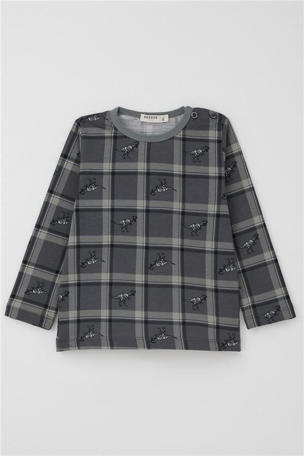 Baby Boy Pajama Set Dinosaur Kingdom Plaid Pattern Grey (9 Months-3 Years)