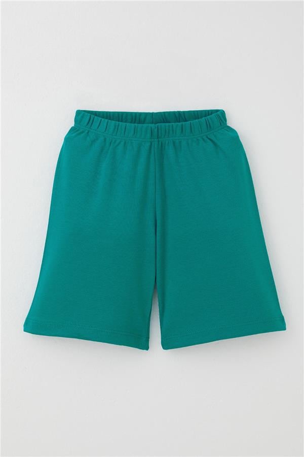 Baby Boy Pajama Set, Animal Kingdom Theme, Blue (9 Months-3 Years)
