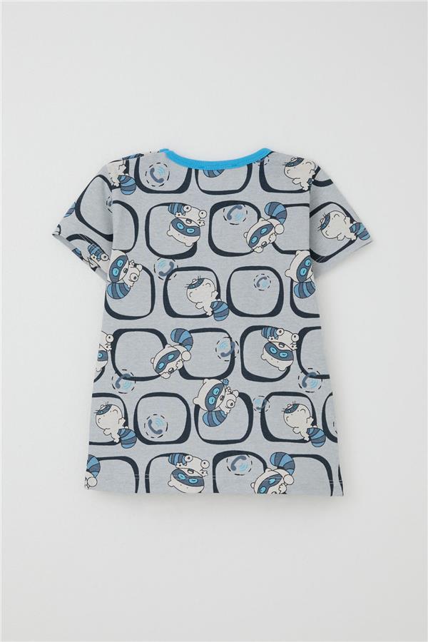 Baby Boy Pajama Set with Cute Raccoon Pattern, Grey (9 Months-3 Years)