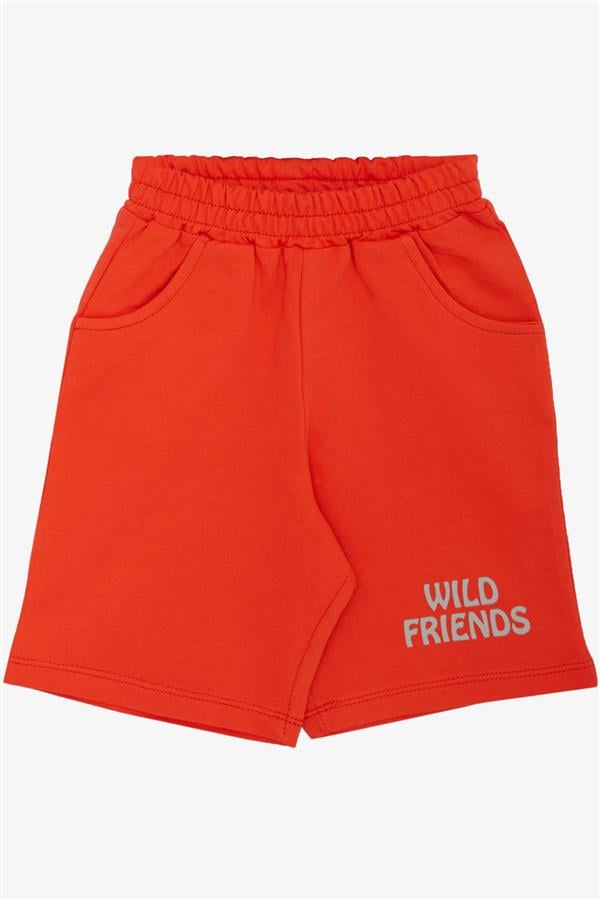 Baby Boy Shorts Set with Strong Friends Theme, Light Grey Melange (9 Months-3 Years)