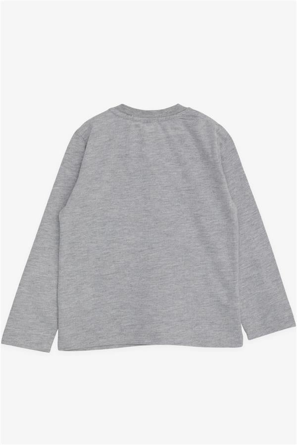 Baby Boy Long-Sleeve T-Shirt with Teddy Bear Print and Embroidered Text, Grey Melange (9 Months-3 Years)