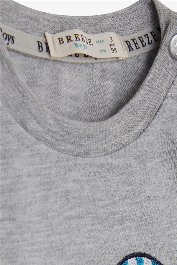 Baby Boy Long-Sleeve T-Shirt with Teddy Bear Print and Embroidered Text, Grey Melange (9 Months-3 Years)