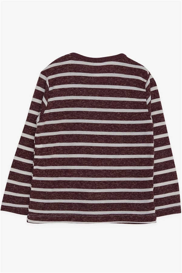Baby Boy Long-Sleeve T-Shirt, Striped, Plum (9 Months-1.5 Years)