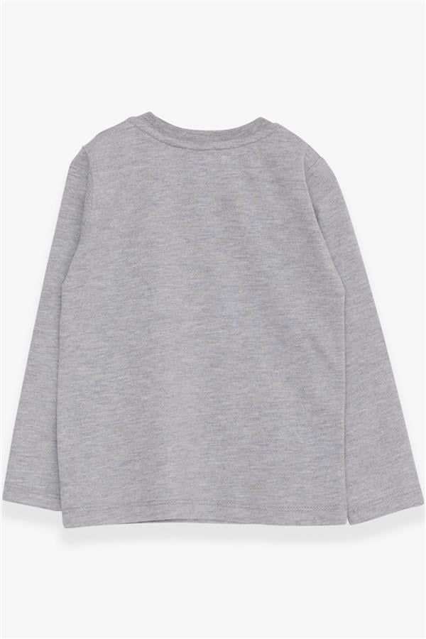Baby Boy Long-Sleeve T-Shirt with Dinosaur Embroidery, Grey Melange (9 Months-3 Years)