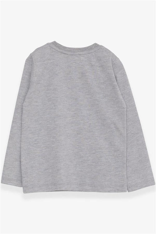Baby Boy Long-Sleeve T-Shirt with Dinosaur Embroidery, Grey Melange (9 Months-3 Years)