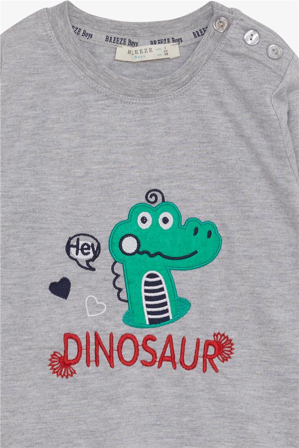 Baby Boy Long-Sleeve T-Shirt with Dinosaur Embroidery, Grey Melange (9 Months-3 Years)