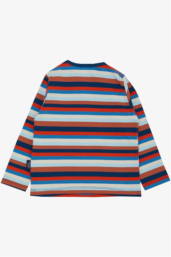 Baby Boy Long-Sleeve T-Shirt with Button Closure, Striped, Colorful, Mixed Colors (9 Months-1.5 Years)