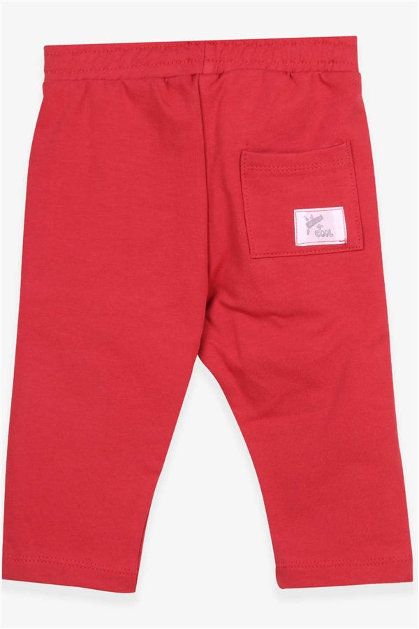 Baby Boy Sweatpants with Patch Pockets, Terracotta (1-1.5 Years)