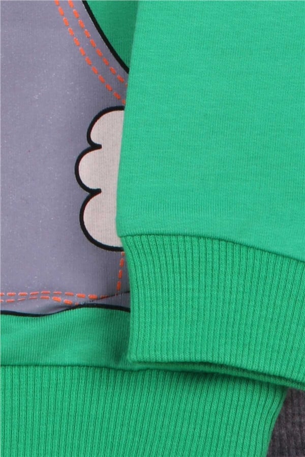 Boys' Tracksuit Set with Bear Print, Green (1-1.5 Years)