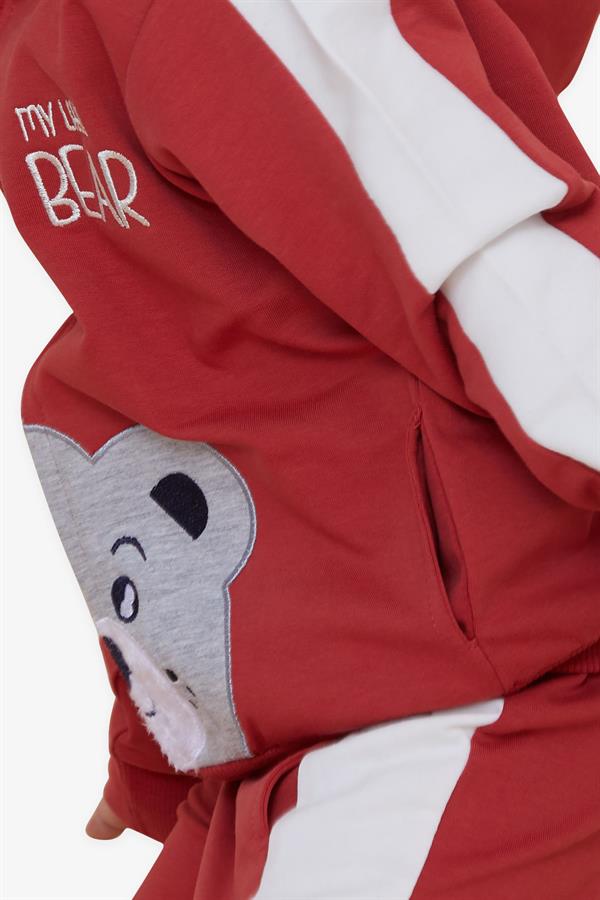 Baby Boy Tracksuit Set with Teddy Bear Print, Terracotta (1-1.5 Years)