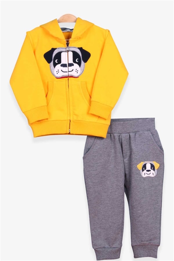 Baby Boy Tracksuit Set with Dog Embroidery, Yellow (1-2 Years)