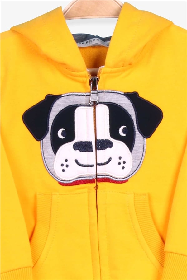 Baby Boy Tracksuit Set with Dog Embroidery, Yellow (1-2 Years)