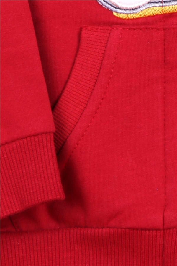 Boys' Tracksuit Set with Dog Embroidery, Burgundy (1-1.5 Years)