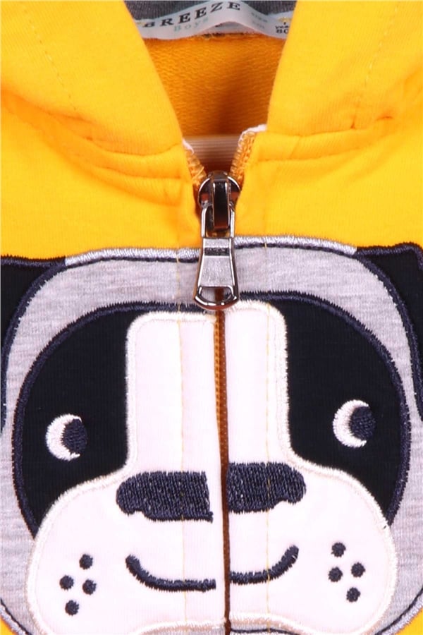 Baby Boy Tracksuit Set with Dog Embroidery, Yellow (1-2 Years)