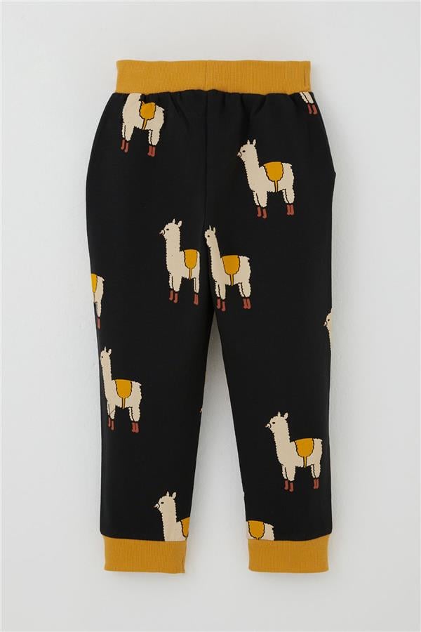 Boys' Tracksuit Set with Llama Design, Black (1.5-5 Years)