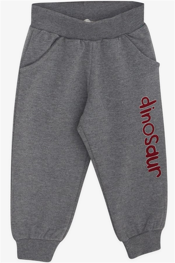 Baby Boy Tracksuit Set with Little Dinosaur Embroidery, Red (1-1.5 Years)