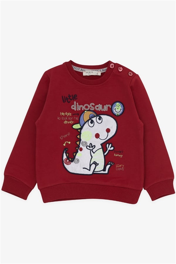 Baby Boy Tracksuit Set with Little Dinosaur Embroidery, Red (1-1.5 Years)