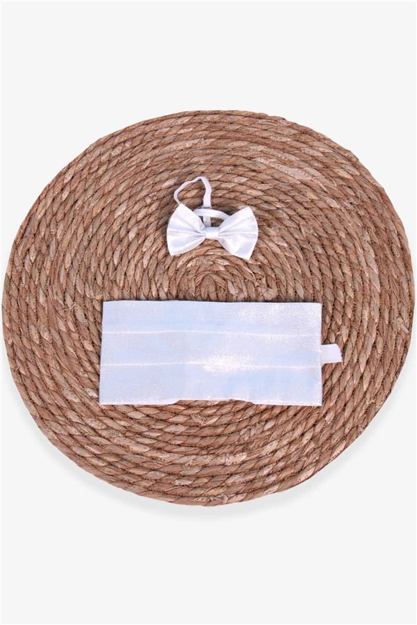 Boys' Bow Tie Set, Silver (10 x 46 cm)