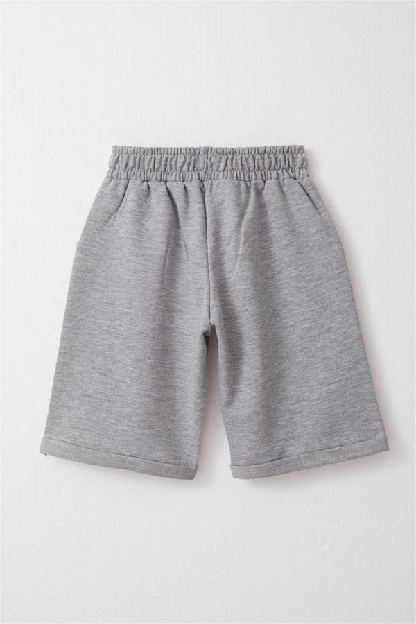 Boys' Shorts Set with King Lion Print, Green (Ages 1-4)
