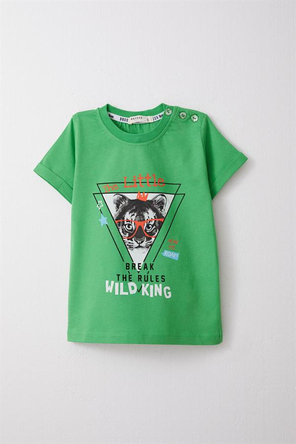 Boys' Shorts Set with King Lion Print, Green (Ages 1-4)
