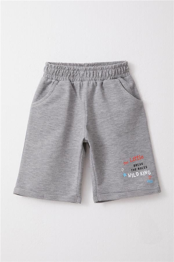 Boys' Shorts Set with King Lion Print, Green (Ages 1-4)