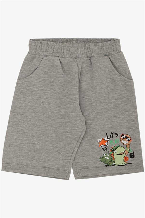 Boys' Playtime Shorts Set with Happy Animals Print, Green (Ages 1-4)