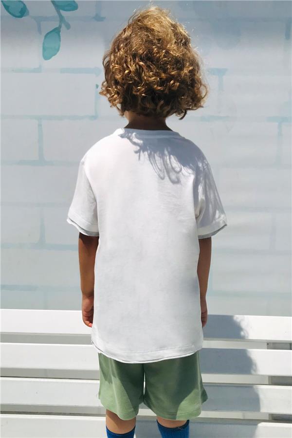 Boys' Shorts Set with Cute Free-spirited Skateboarding Puppy Print, Off-White (Ages 2-6)