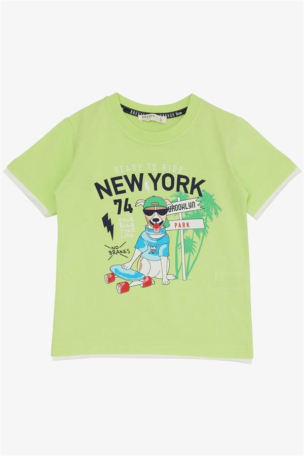 Boys' Shorts Set with Cute Free-spirited Skateboarding Puppy Print, Pistachio Green (Ages 2-6)