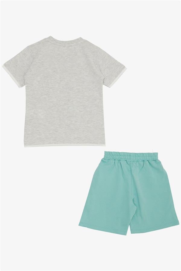 Boys' Shorts Set with Cute Free-Walking Skateboarder Puppy Print, Light Grey Melange (Ages 2-6)