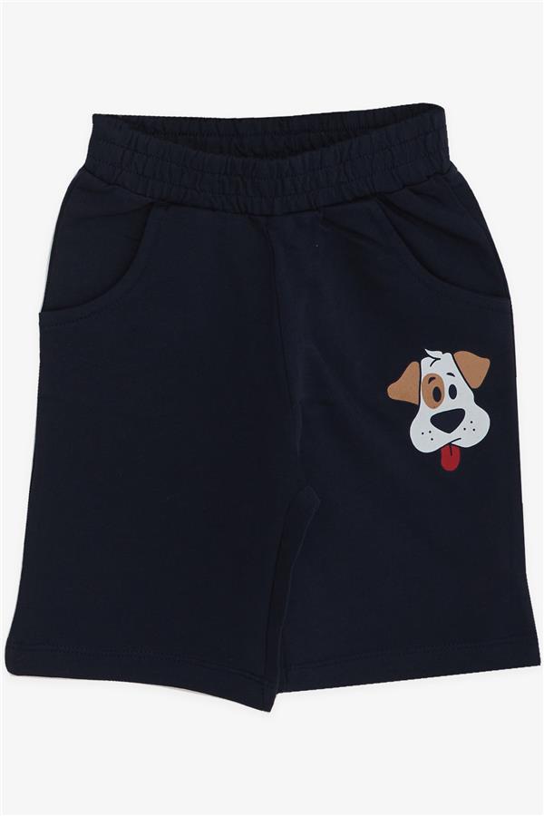 Boys' Shorts Set Cute Puppy Light Grey Melange (Ages 1-4)