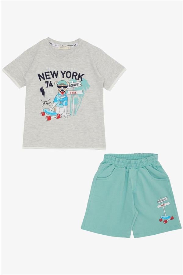 Boys' Shorts Set with Cute Free-Walking Skateboarder Puppy Print, Light Grey Melange (Ages 2-6)