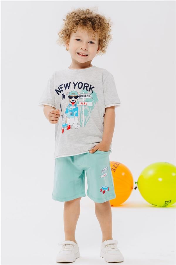 Boys' Shorts Set with Cute Free-Walking Skateboarder Puppy Print, Light Grey Melange (Ages 2-6)