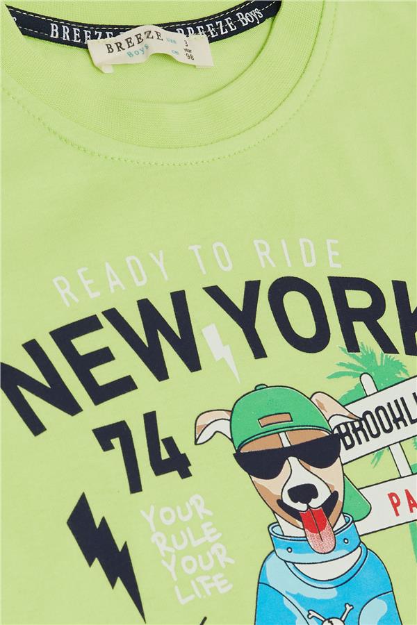 Boys' Shorts Set with Cute Free-spirited Skateboarding Puppy Print, Pistachio Green (Ages 2-6)