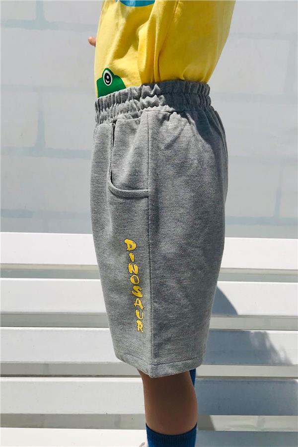 Boys' Shorts Set with Cute Dinosaur Friends Print, Yellow (Ages 1.5-5)