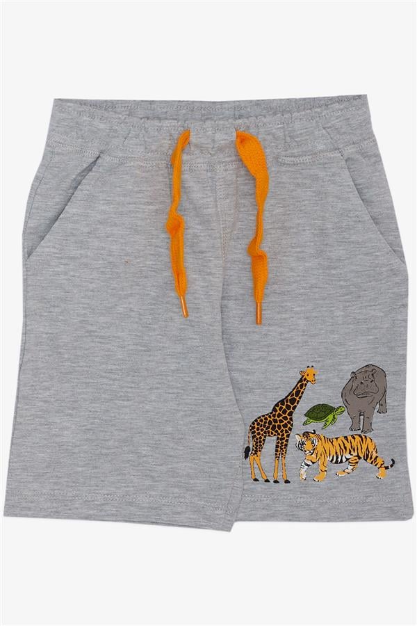 Boys' Matching Shorts Set in Grey Melange with Strong Animal Pattern (1.5-3 Years)