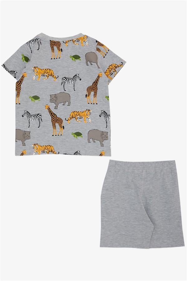 Boys' Matching Shorts Set in Grey Melange with Strong Animal Pattern (1.5-3 Years)