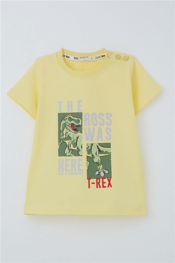Boys' T-Shirt with Strong Dinosaur Print, Yellow (Ages 1.5-5)