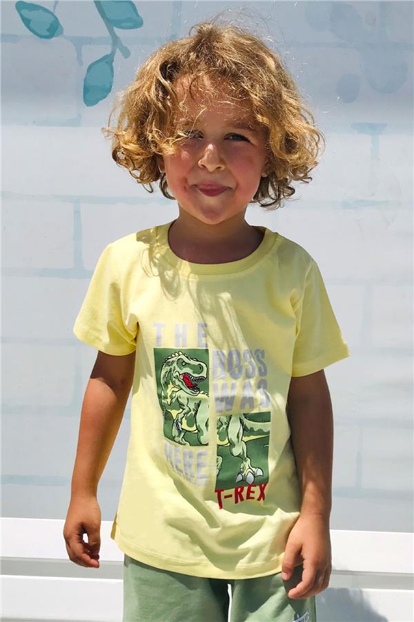 Boys' T-Shirt with Strong Dinosaur Print, Yellow (Ages 1.5-5)