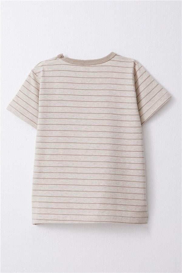 Baby Boy T-Shirt, Striped, Beige Melange (1-1.5 Years)