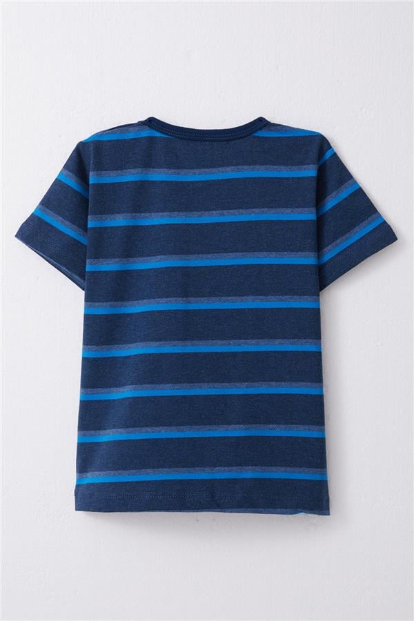 Baby Boy T-Shirt, Striped Navy Melange (1-2 Years)