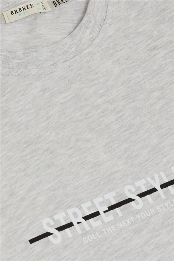 Boys' T-Shirt with Printed Text and Emblem, Light Grey Melange (Ages 9-14)