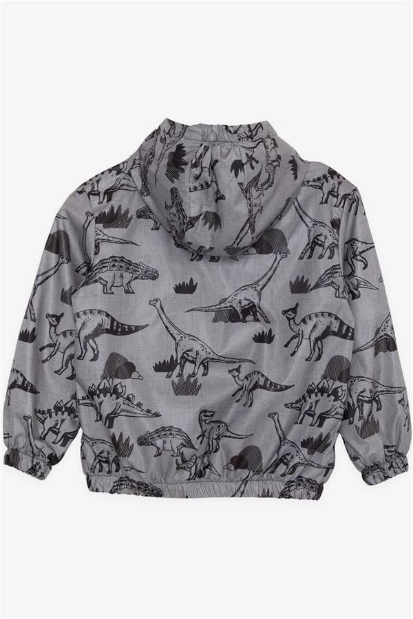 Boys' Raincoat with Powerful Dinosaur Design, Dark Gray Melange (Ages 1-5)