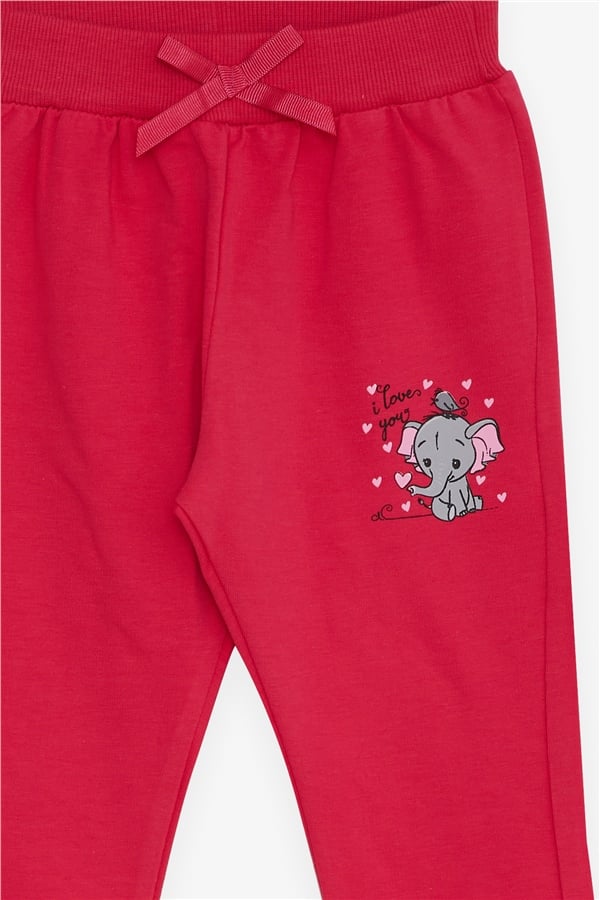 Baby Girl Sweatpants with Elephant Print, Fuchsia (6 Months-1.5 Years)