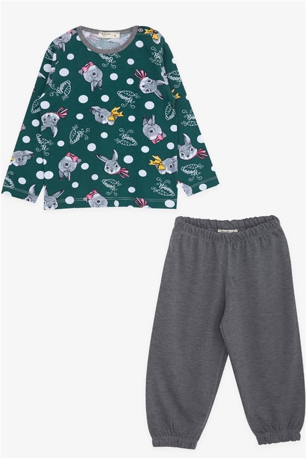 Baby Girl Pajama Set, Bunny Pattern, Green (9 Months-1 Years)
